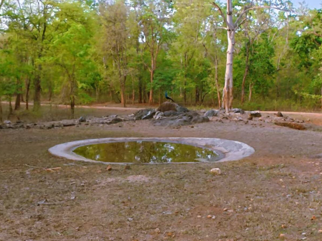 Betla National Park-Palamu District必去景点