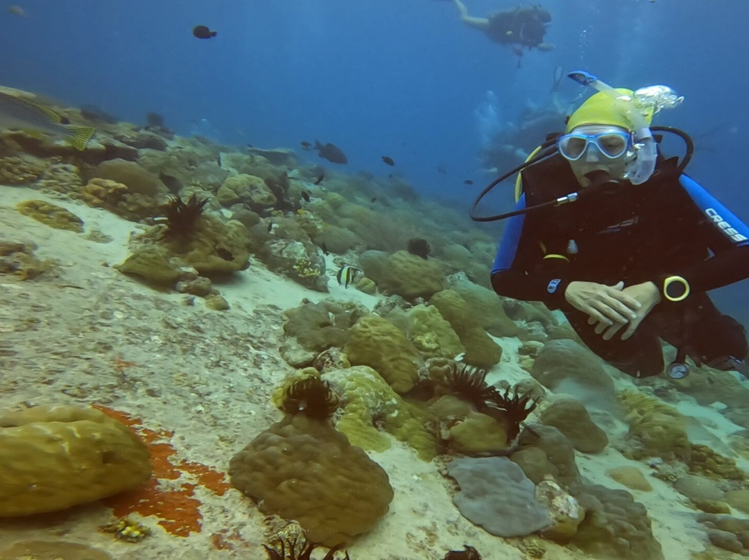 Divine Divers-Gili Meno必去景点