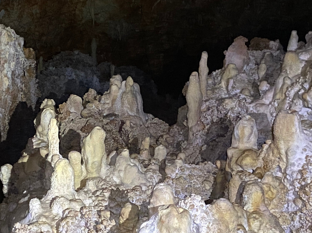 Aven Grotte Forestière-Orgnac-l'Aven必去景点