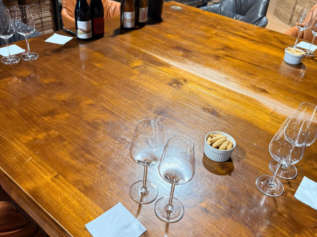 Mas de Llucia Wine Estate-特鲁埃尔必去景点