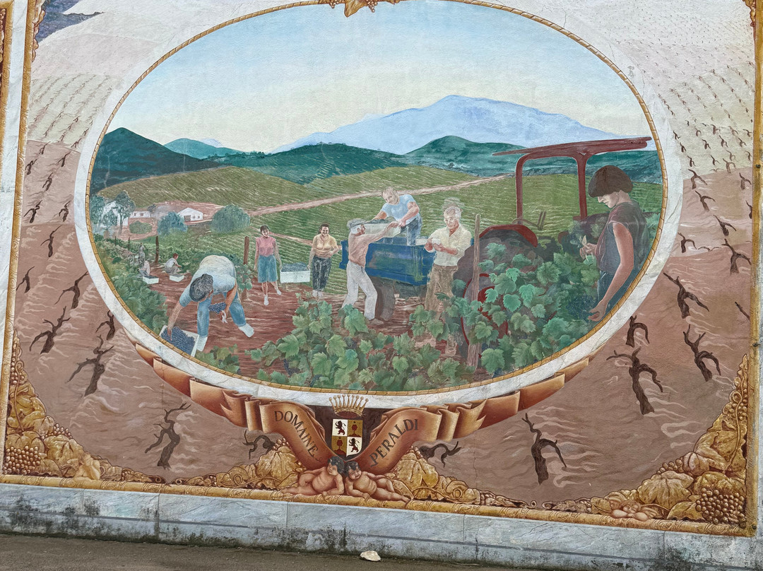 Domaine Comte Peraldi-Mezzavia必去景点