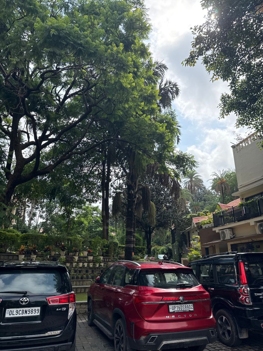 希尔通酒店-旅行者