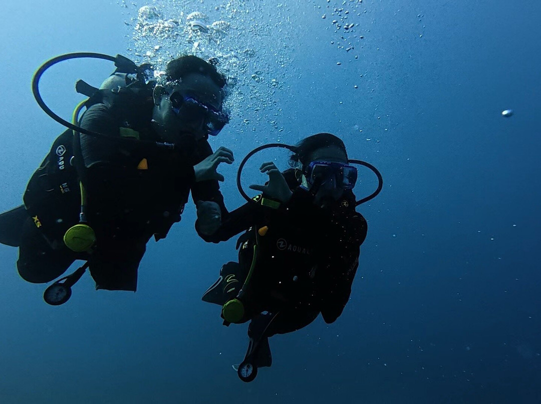 Fish & Friends Diving Centre-达哈卜必去景点