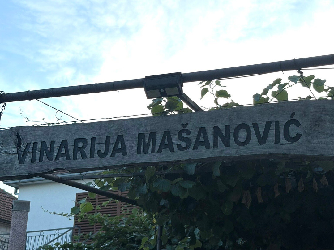 Wine tasting - Winery Masanovic-维尔巴札拉必去景点