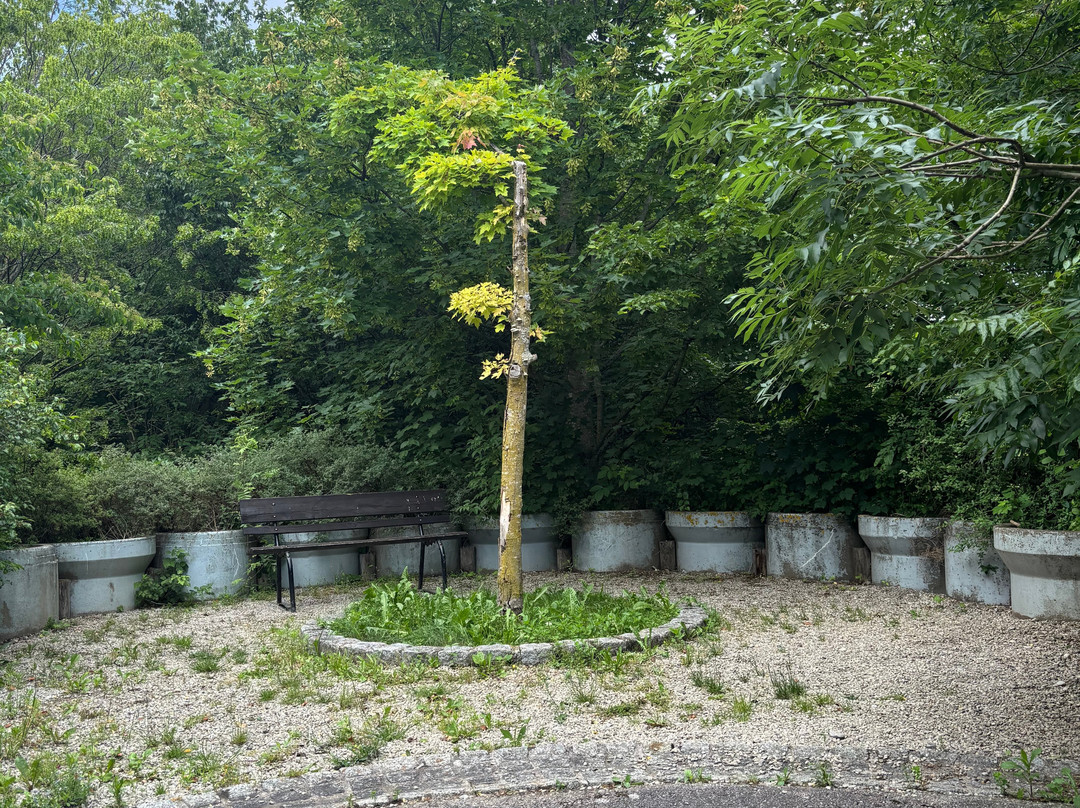Allgäu Skyline Park-巴特沃里斯霍芬必去景点