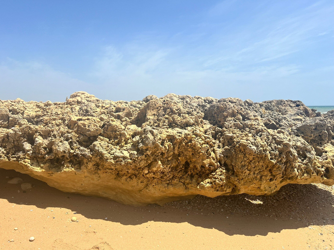 Praia Da Oura-阿尔布赞拉必去景点