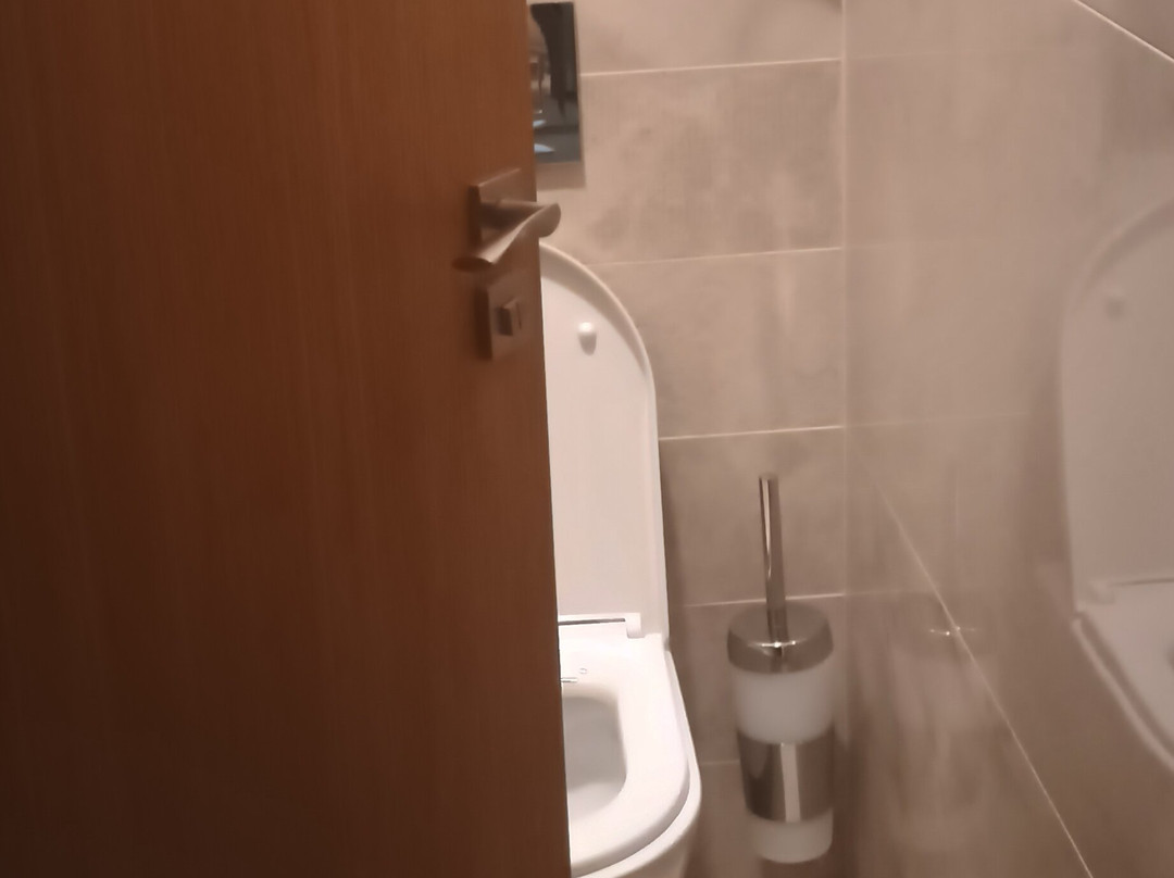 贝谢诺瓦画廊温泉浴酒店主图