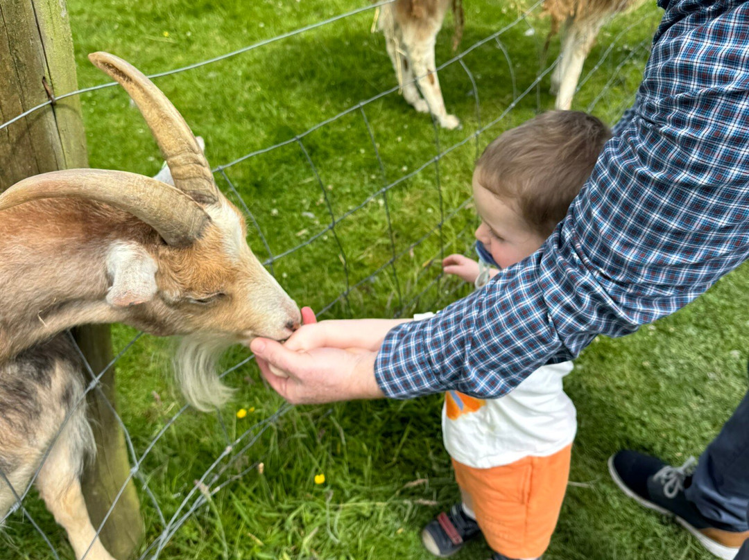 Secret Valley Wildlife Park-韦克斯福德必去景点