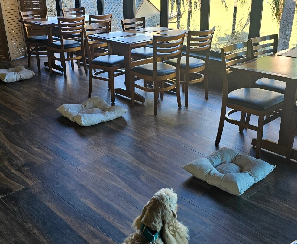 奥斯卡生态度假酒店主图