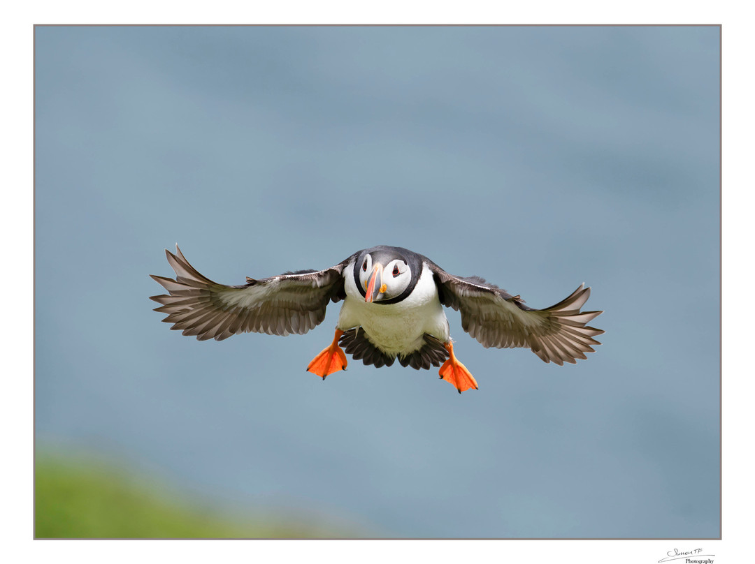 Drew Buckley Photography-Hundleton必去景点