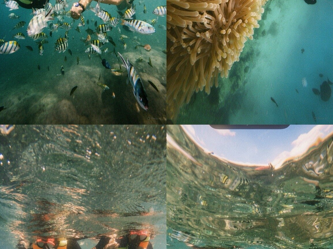 Gili Nanggu-Desa Sekotong Barat必去景点