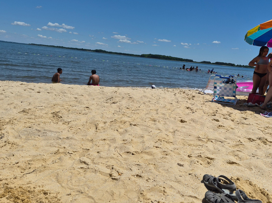 Rocky Point Beach and Park-Essex必去景点