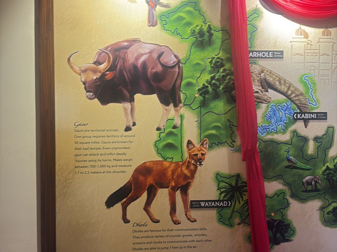 Safari Quest主图