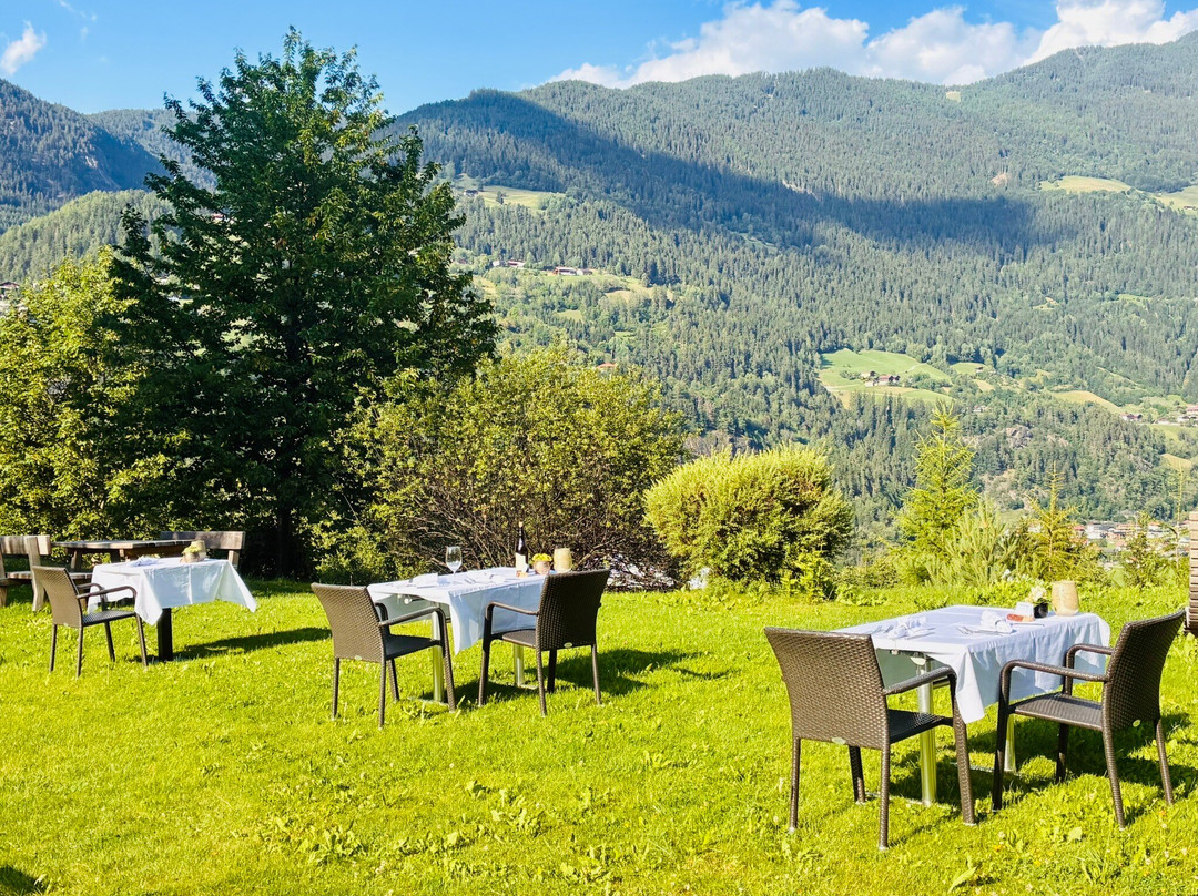 Hotel Ritzlerhof - Panorama Und Spa主图