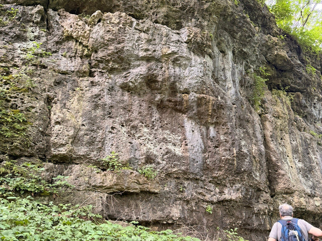 The Highlands Nature Sanctuary-Bainbridge - Ross County必去景点