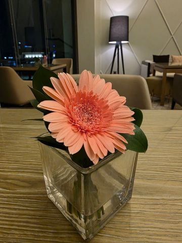 吉隆坡希尔顿酒店-旅行者