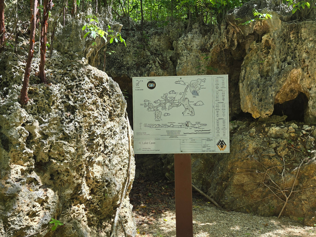 Cayman Crystal Caves-大开曼岛必去景点