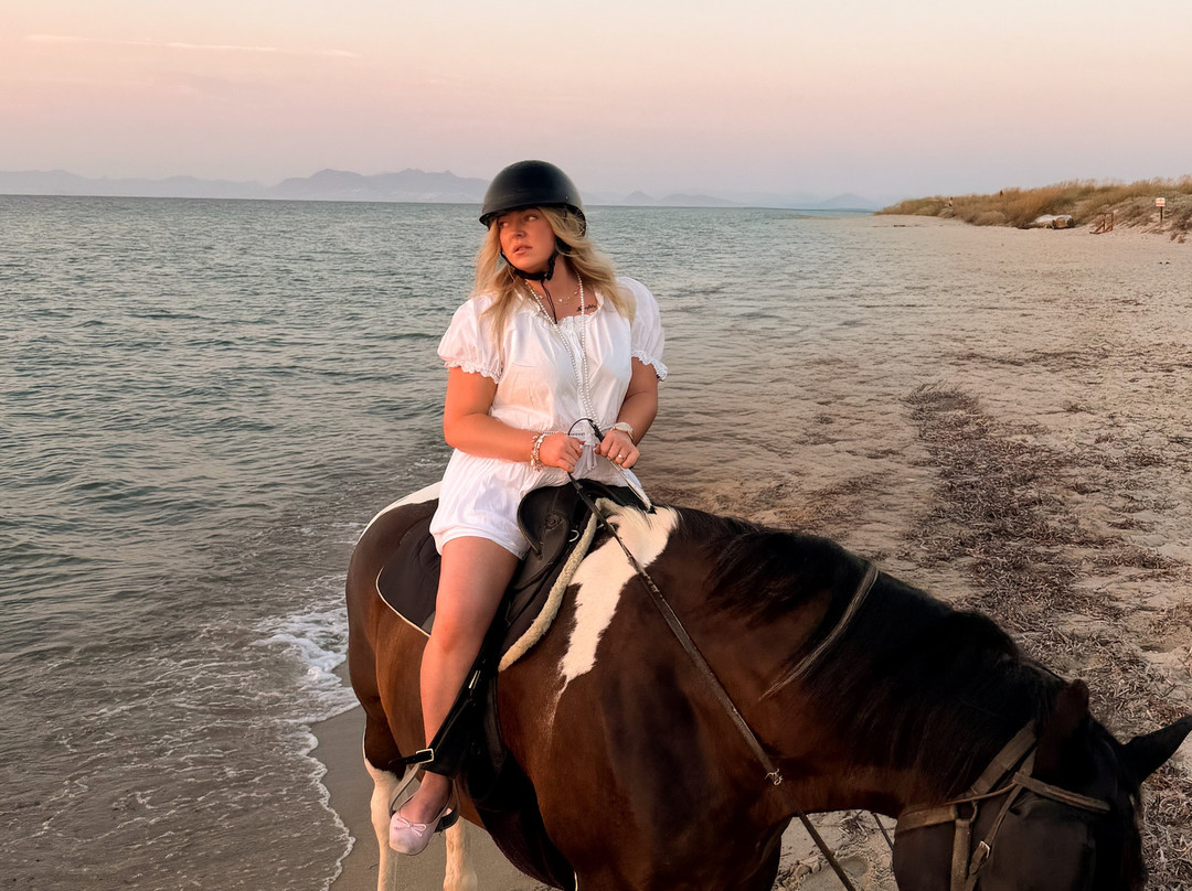 Erika's Horse Farm Kos-Marmari必去景点