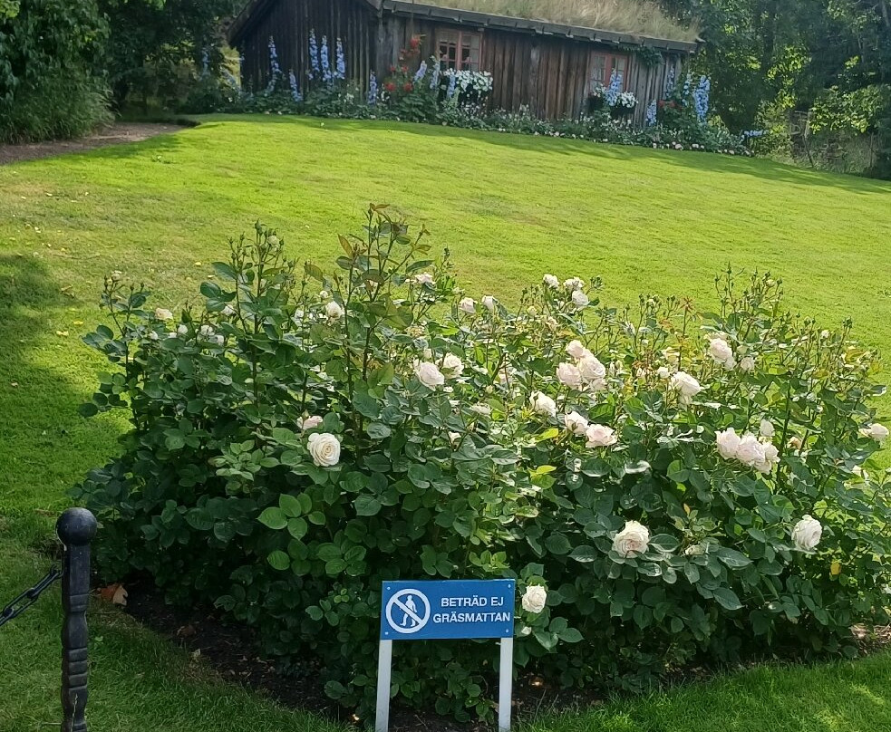 Solliden Park-Borgholm必去景点