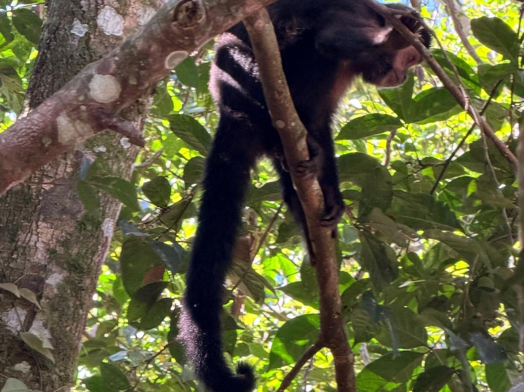 Parque Nacional Iguazu-伊瓜苏港必去景点