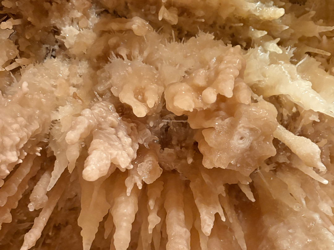 Caverns of Sonora-Sonora必去景点