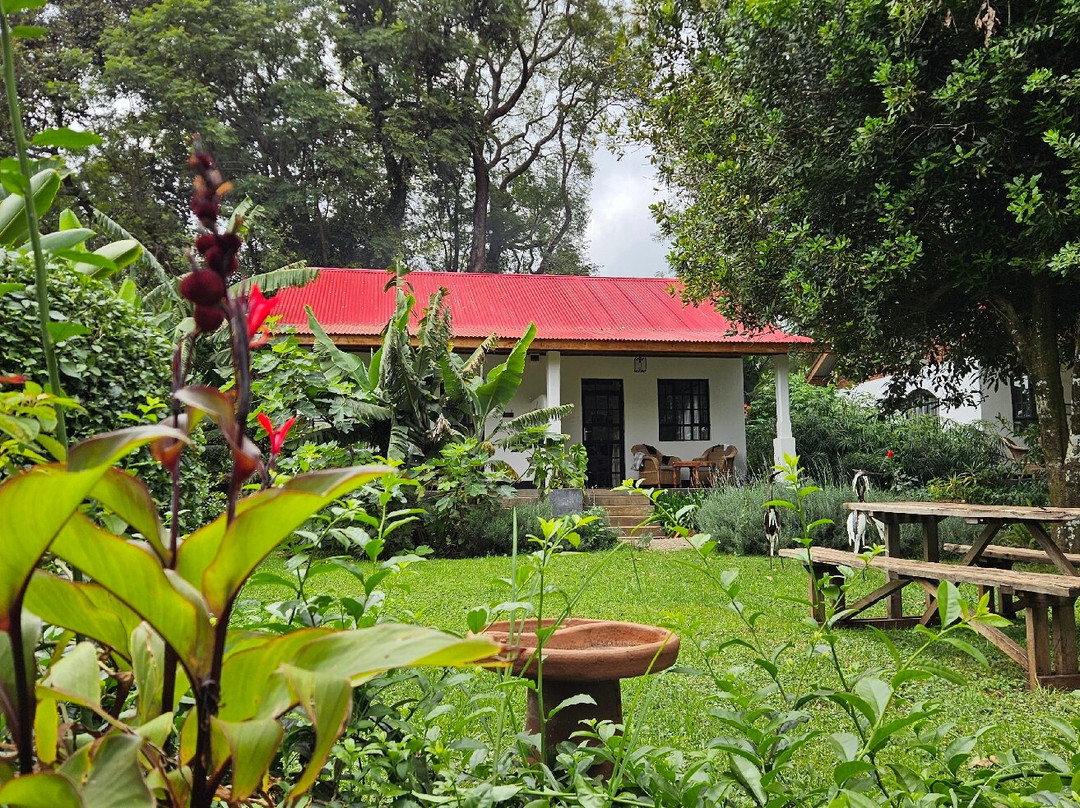 Simba Farm Lodge主图