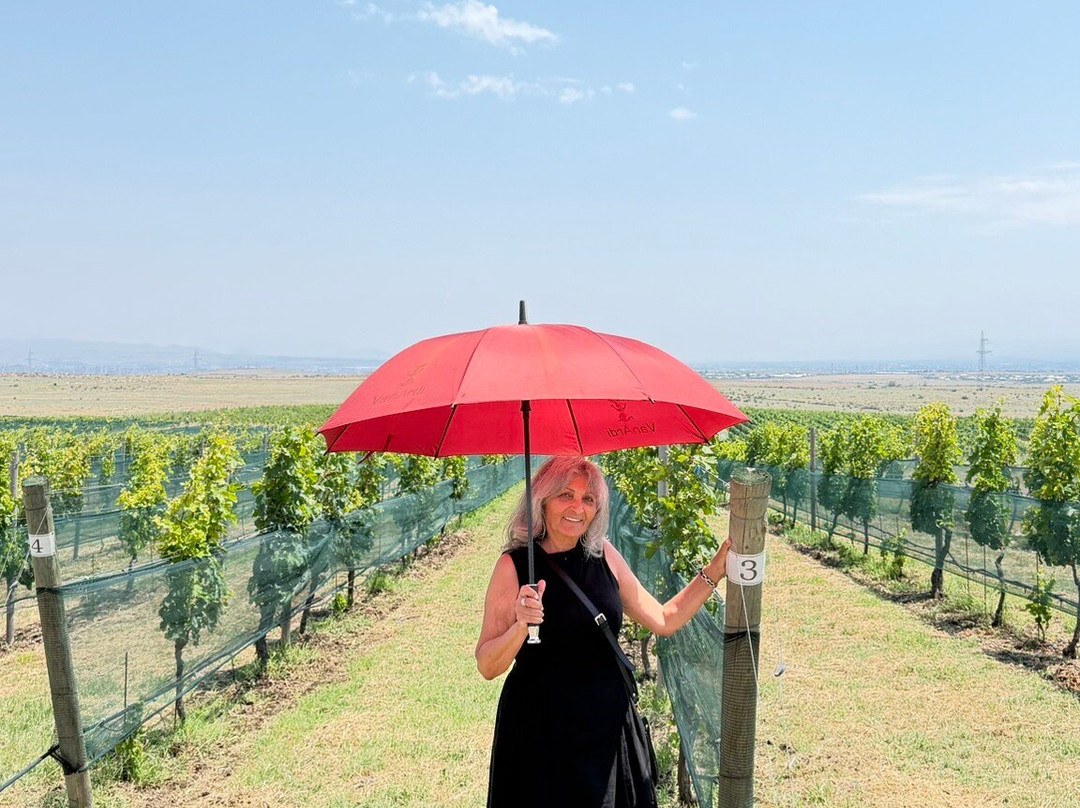 Van Ardi Winery-Sasunik必去景点