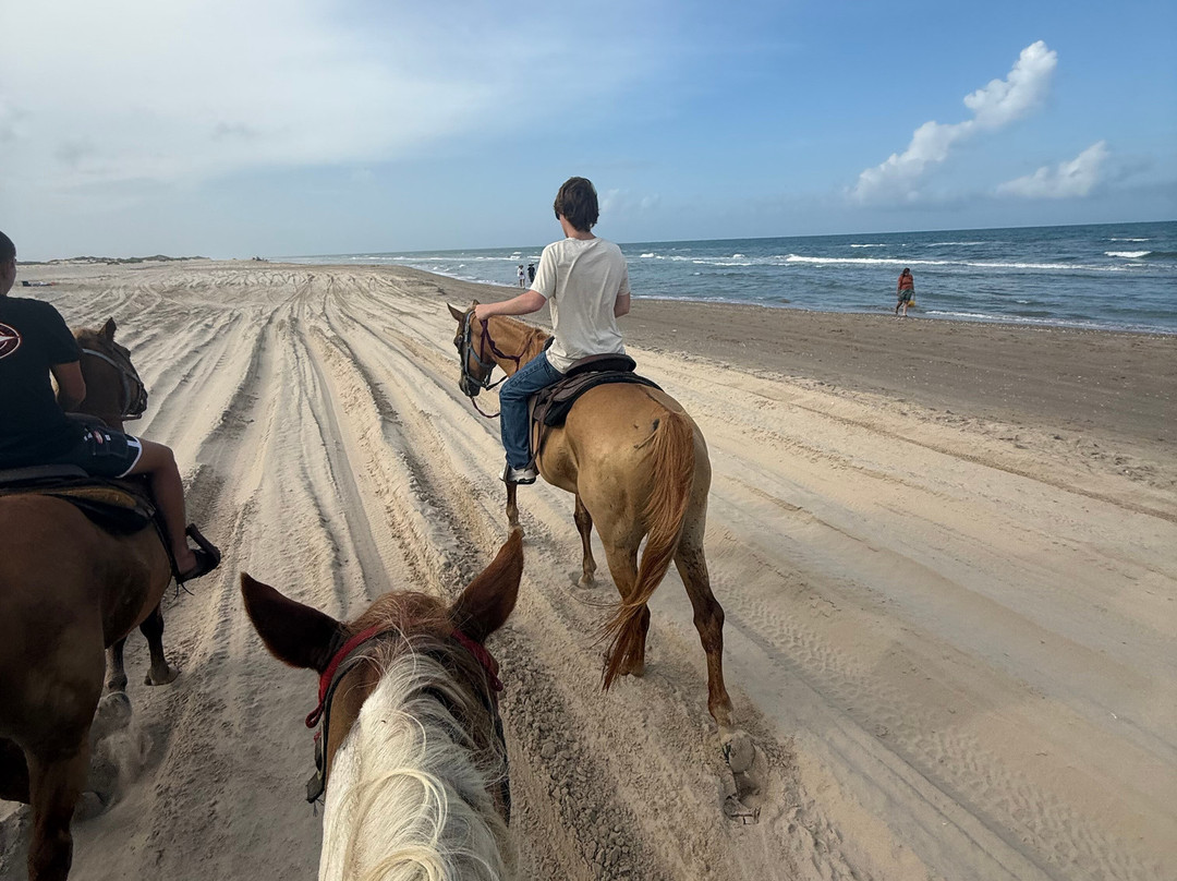 South Padre Island Adventure Park-南帕诸岛必去景点