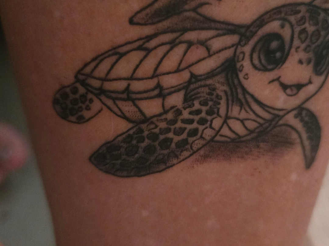 Cleopatra Ink Cape Verde-圣塔玛丽亚必去景点