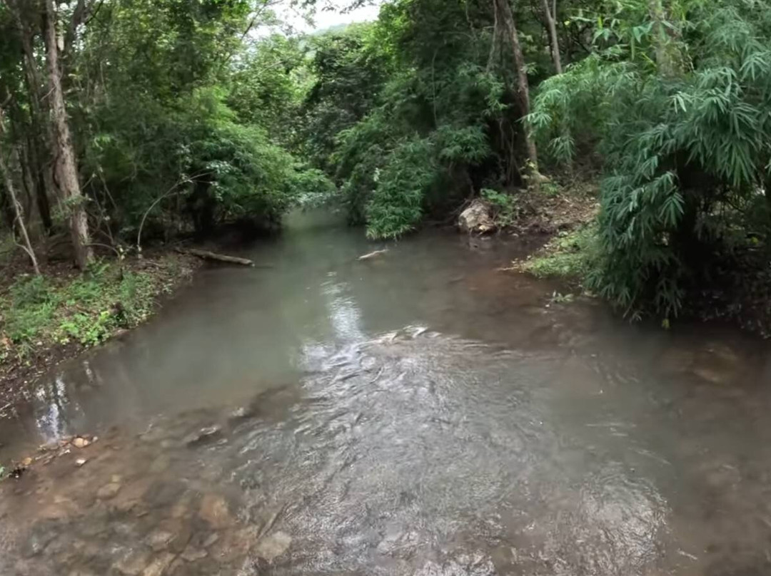 Debrigarh Wildlife Sanctuary-Sambalpur必去景点