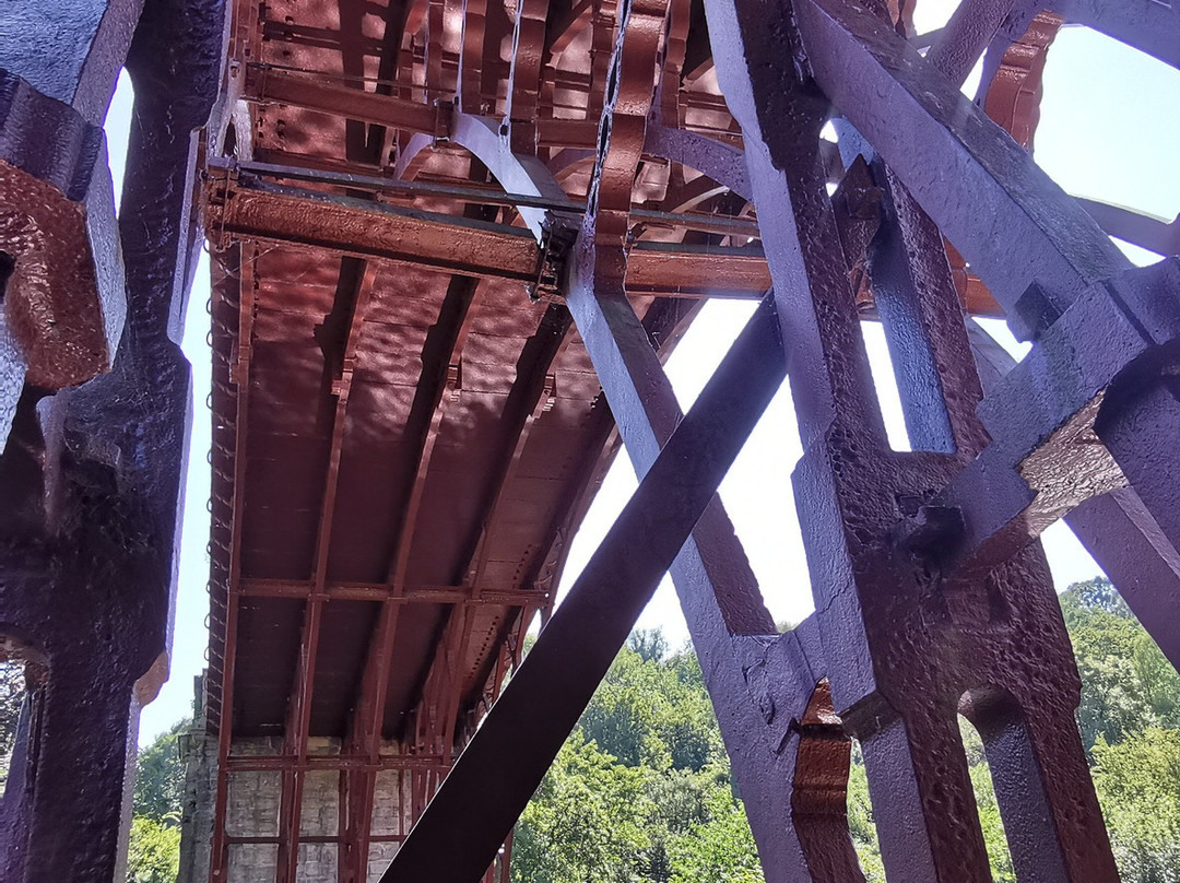Ironbridge Gorge Walking Tours: The Professor's Original-Ironbridge必去景点