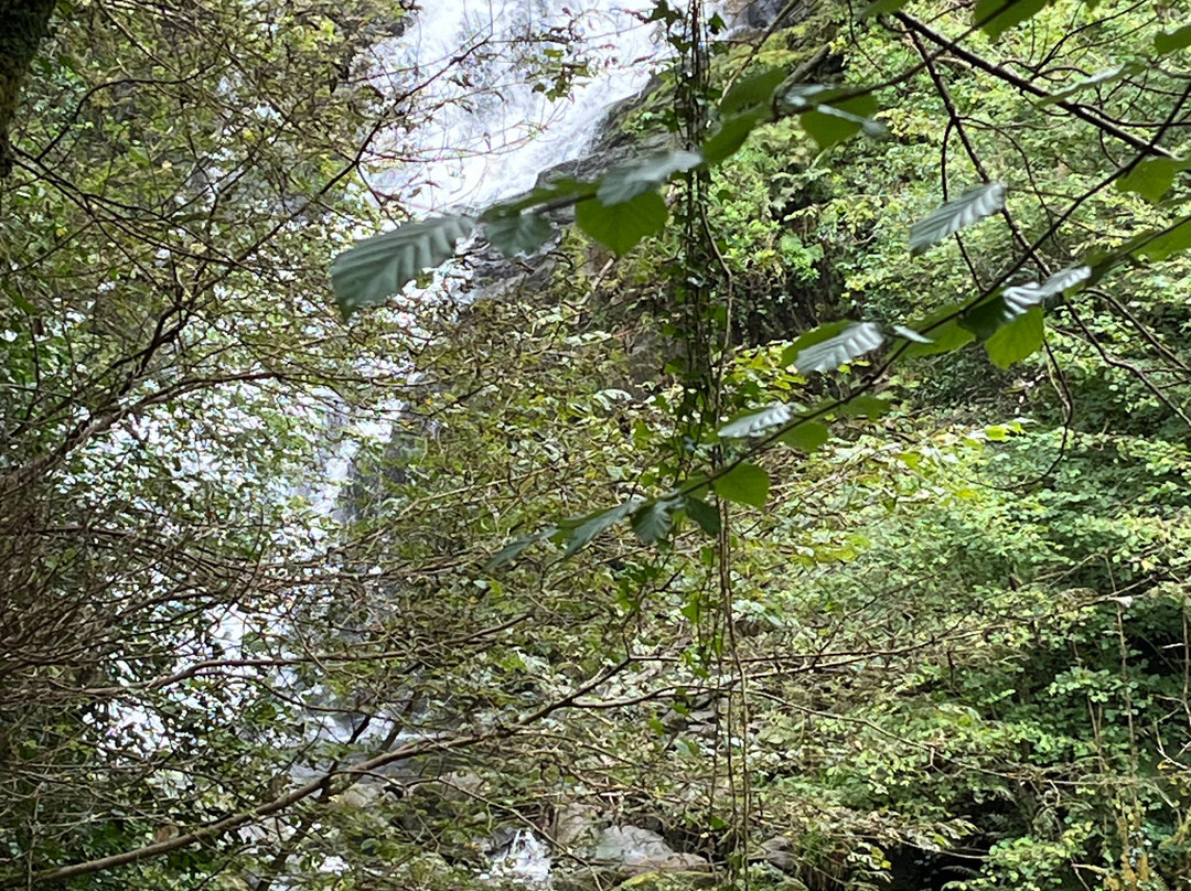 Torc Waterfall-基拉尼必去景点