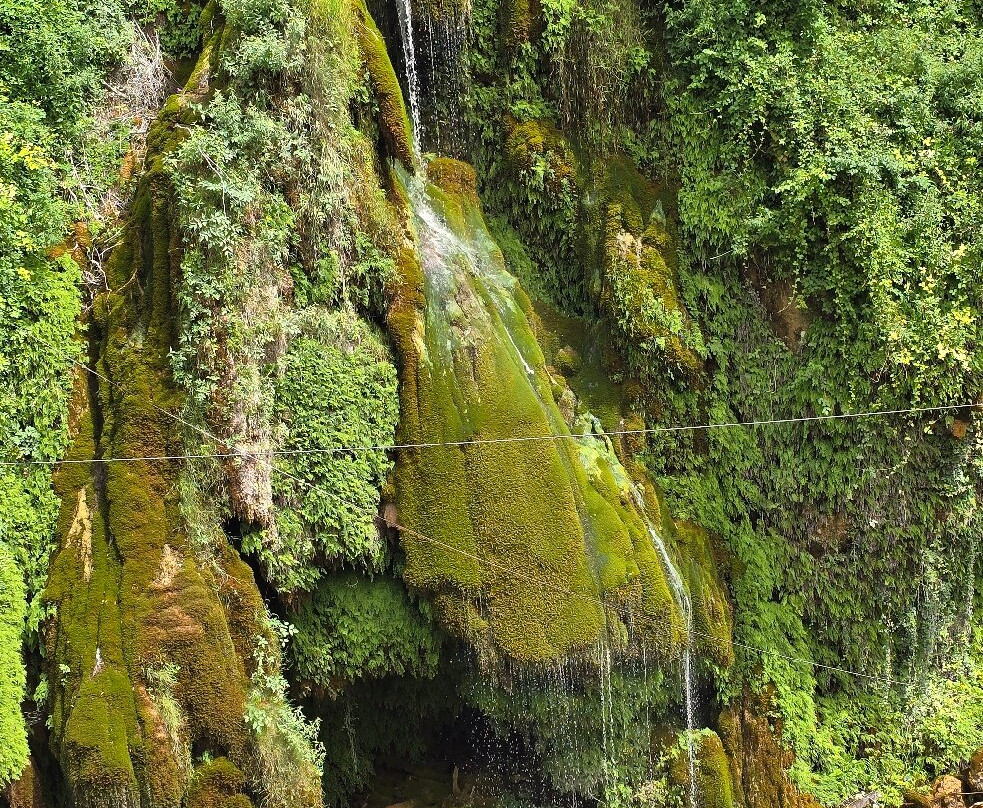 Cascades du Saut du Loup-Courmes必去景点