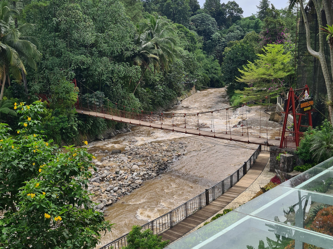 Cimory Dairyland Puncak-Cipayung Girang必去景点