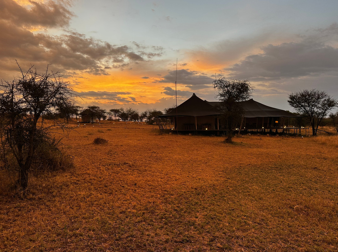 Itika Serengeti Camp