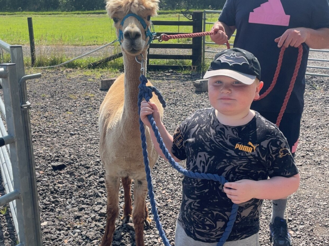 Bowbridge Alpacas Scotland-Peat Inn必去景点