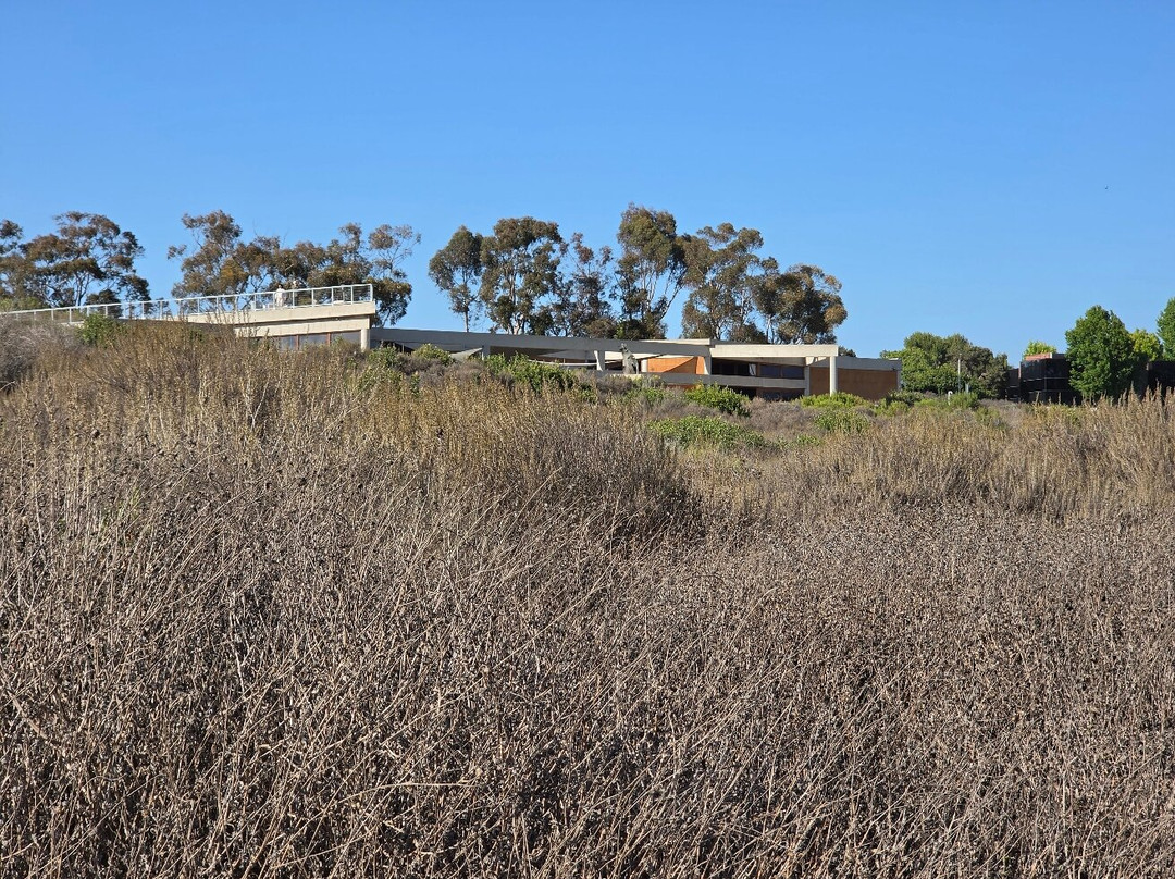Upper Newport Bay Nature Preserve-纽波特海滩必去景点