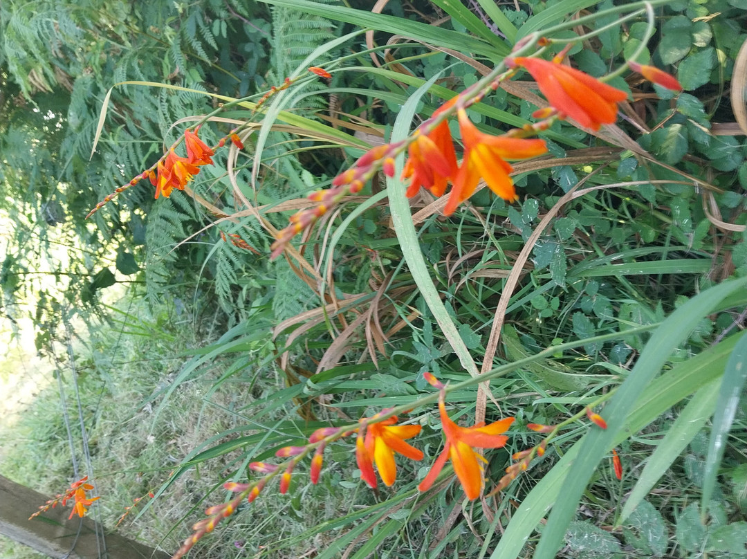 Marais du Quellen-Trebeurden必去景点
