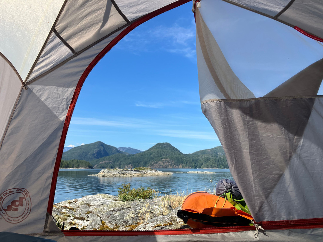 Coast Mountain Expeditions-Surge Narrows必去景点