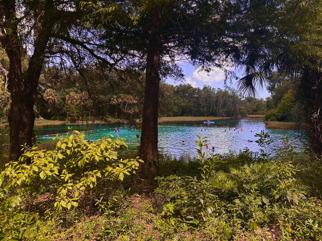 Rainbow Springs State Park-Dunnellon必去景点