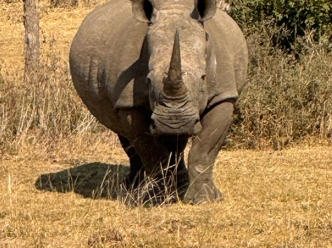 Mosi-oa-Tunya National Park-李文斯顿必去景点