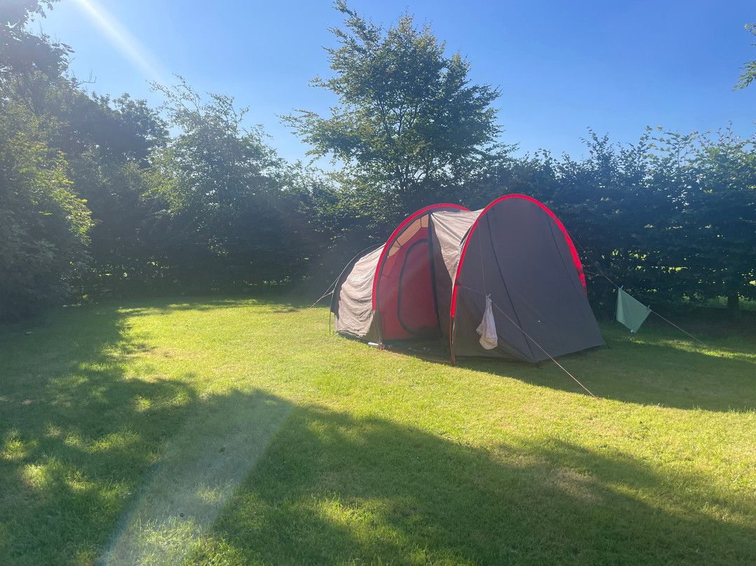Bush Caravan Park