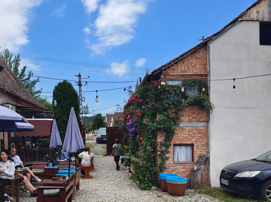 Village de Viscri-Viscri必去景点