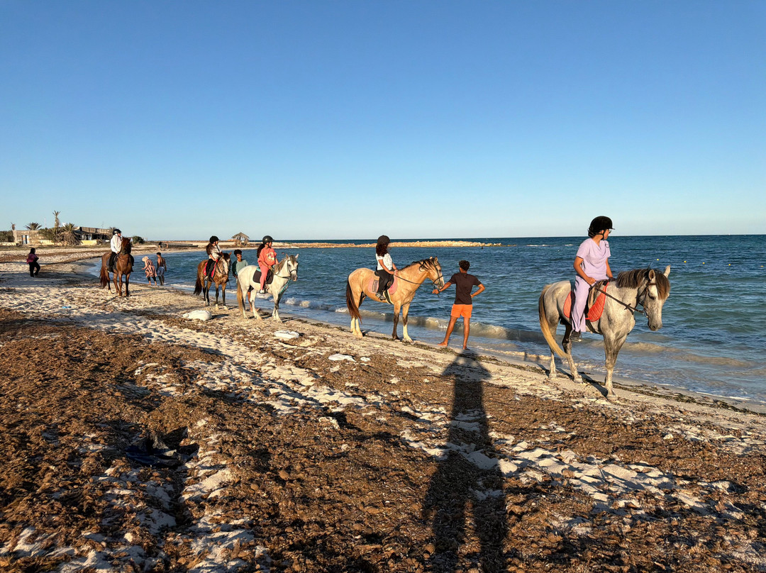 Ranch Adada Djerba-阿基尔必去景点