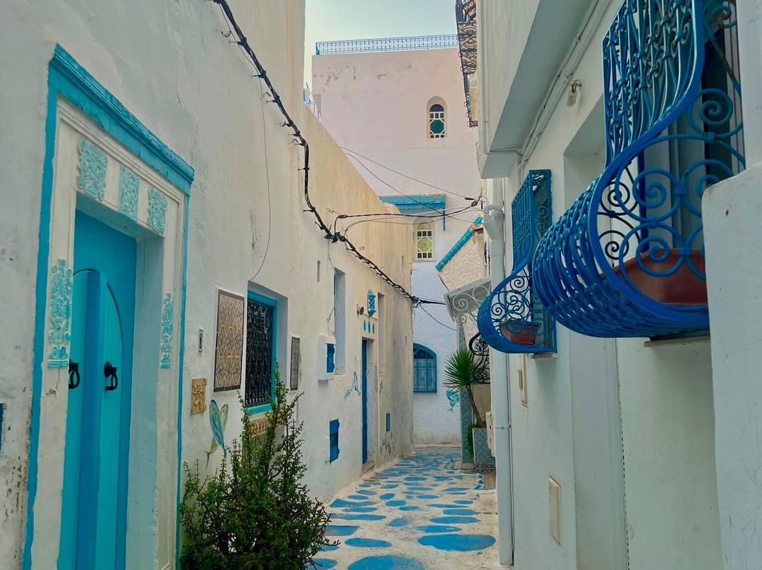 Medina of Yasmine Hammamet-哈玛麦德必去景点