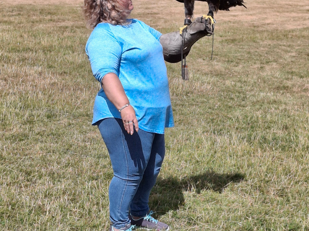 UK Owl And Raptor Centre-Groombridge必去景点