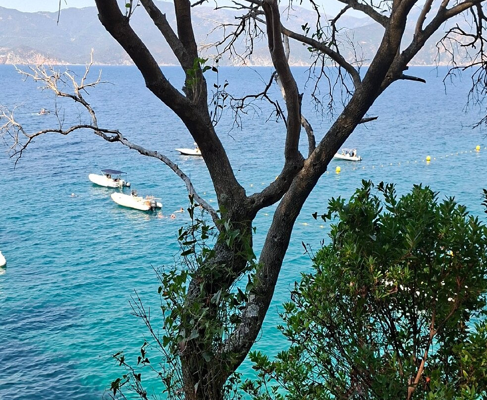Plage de Ficajola-Piana必去景点