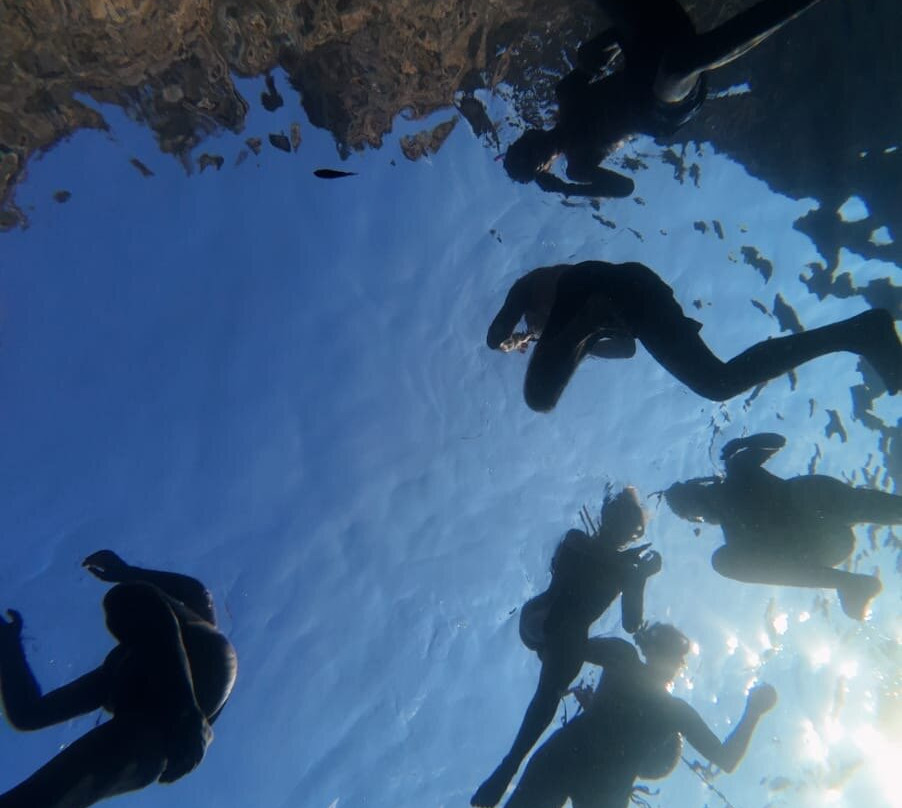 Cilento Snorkeling-Marina di Camerota必去景点