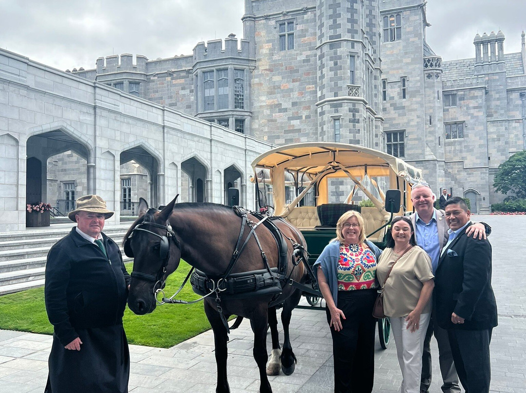 Limerick Carriage Tours-Adare必去景点