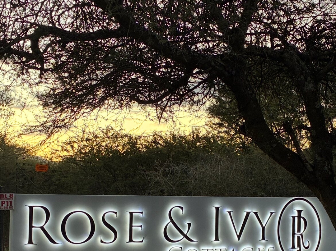 Rose & Ivy Guesthouse主图
